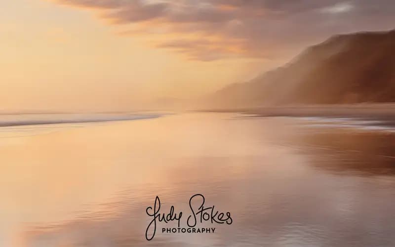 JudyStokesPhotography