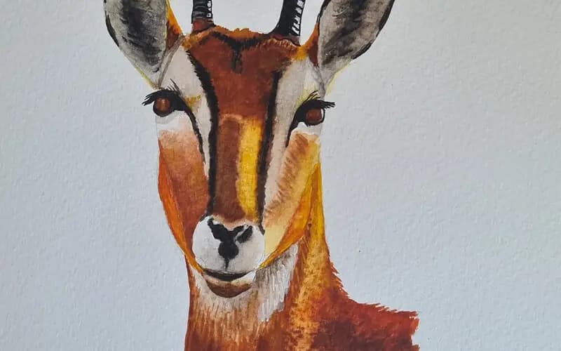 Impala